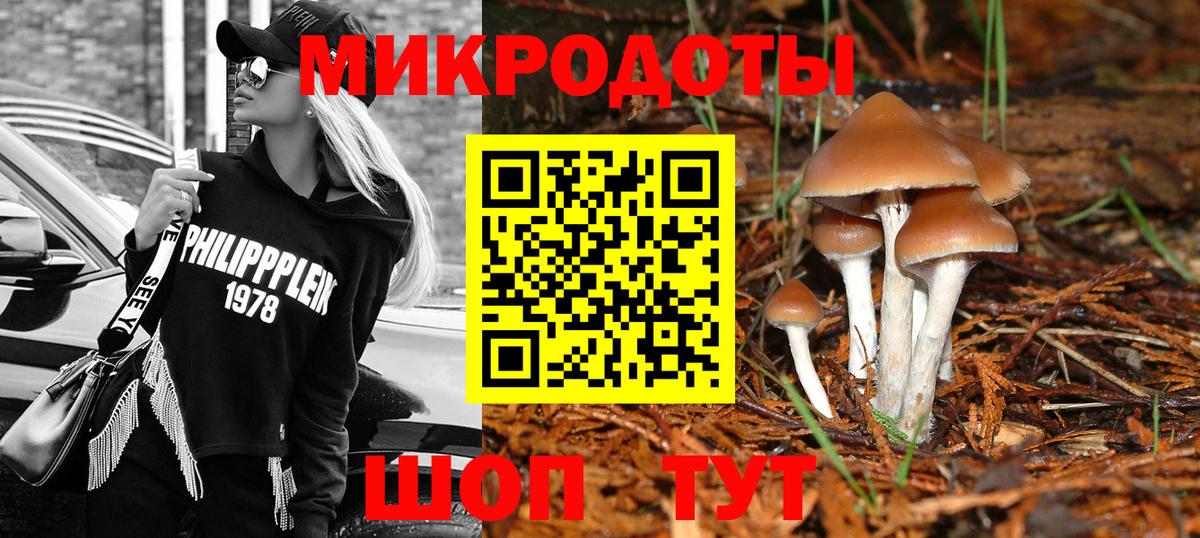 Псилоцибиновые грибы мухоморы  Вход с VPN  Обнинск 