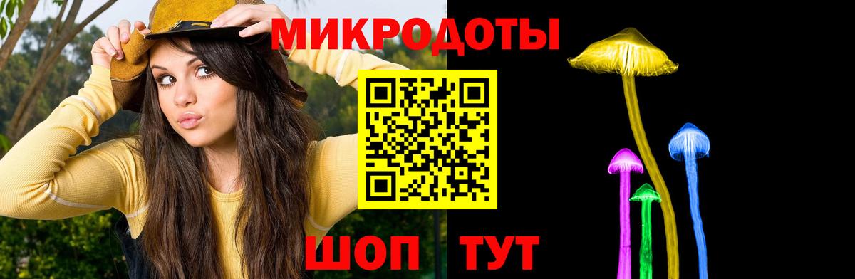 Галлюциногенные грибы мицелий Обнинск